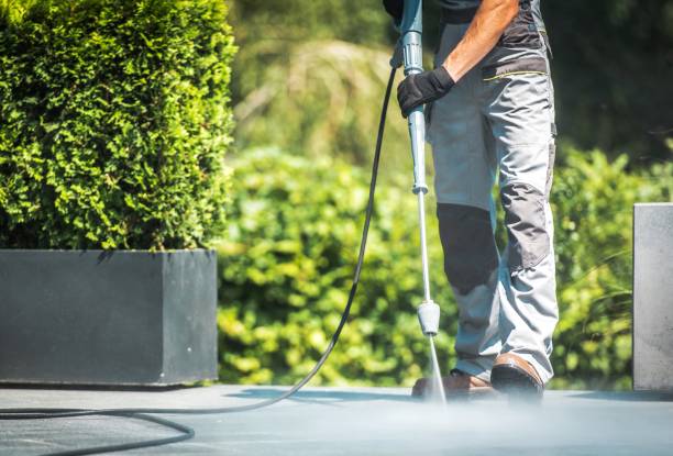 Best Soft Washing  in Momence, IL